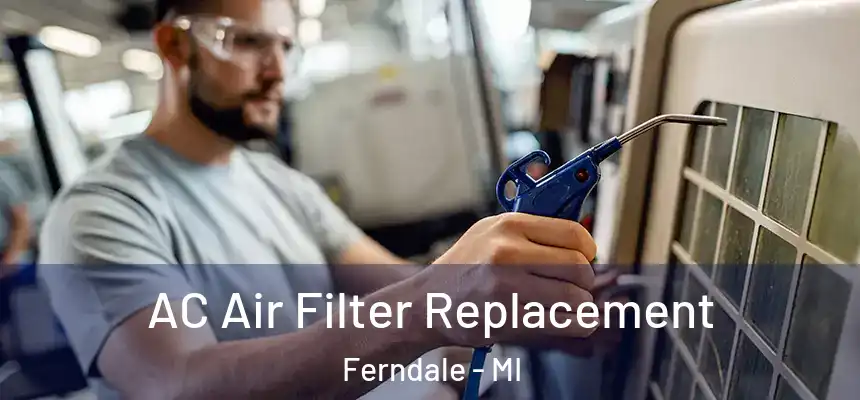  AC Air Filter Replacement Ferndale - MI
