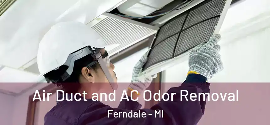  Air Duct and AC Odor Removal Ferndale - MI