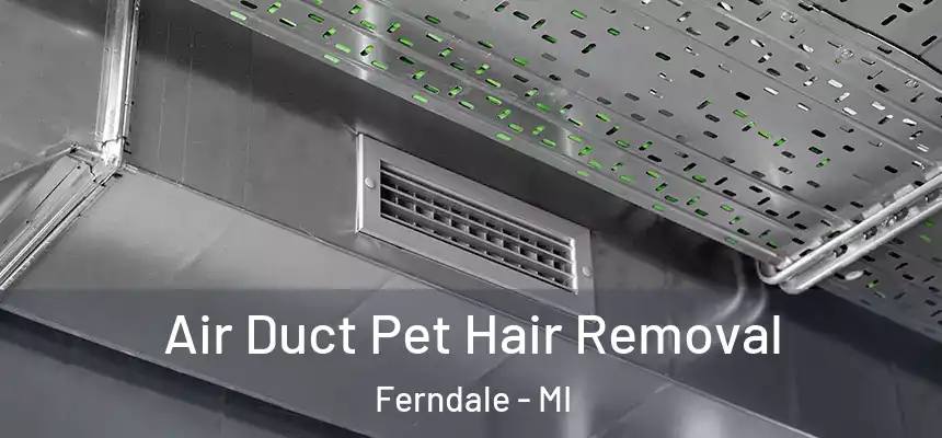  Air Duct Pet Hair Removal Ferndale - MI