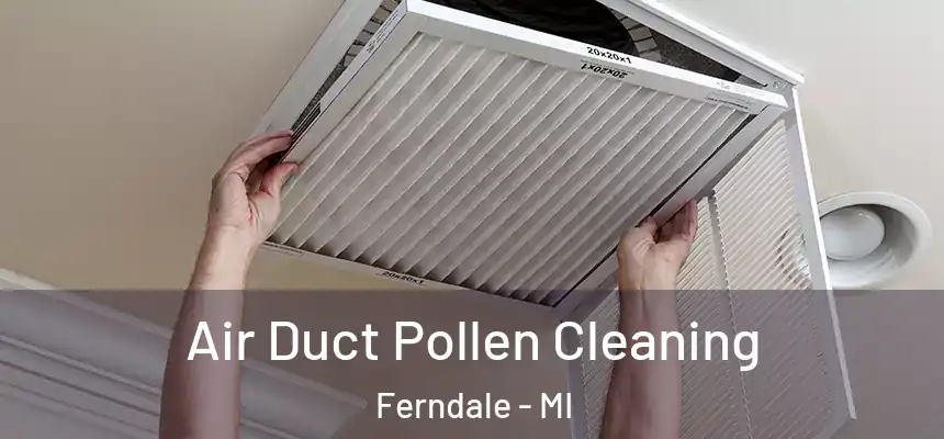  Air Duct Pollen Cleaning Ferndale - MI