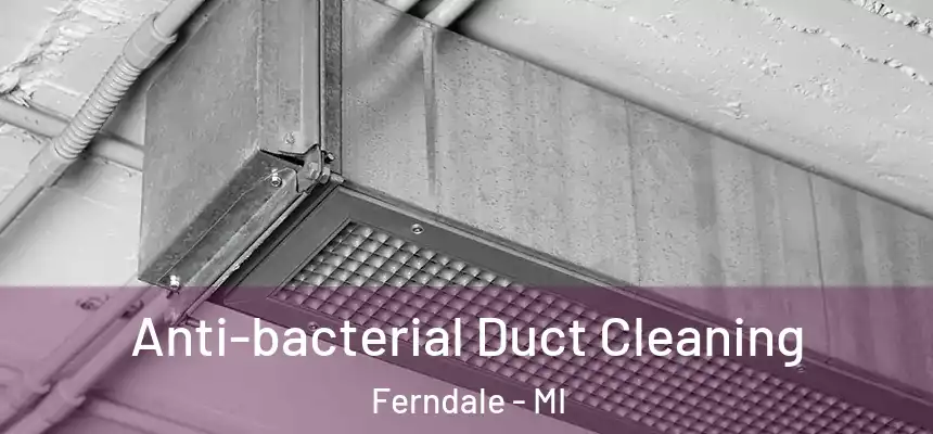  Anti-bacterial Duct Cleaning Ferndale - MI