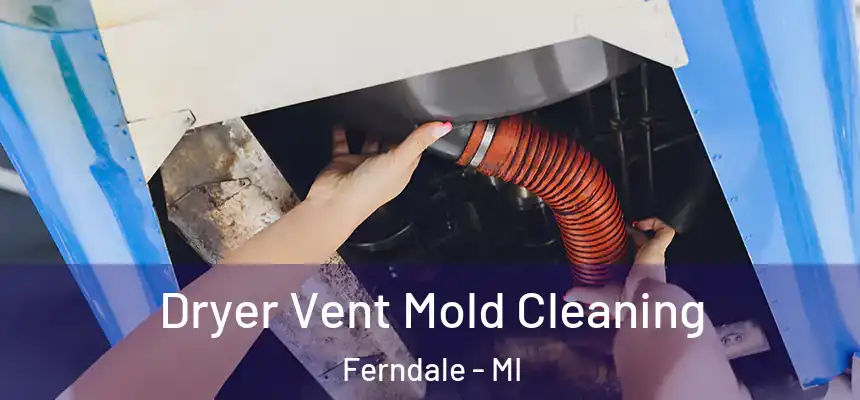 Dryer Vent Mold Cleaning Ferndale - MI