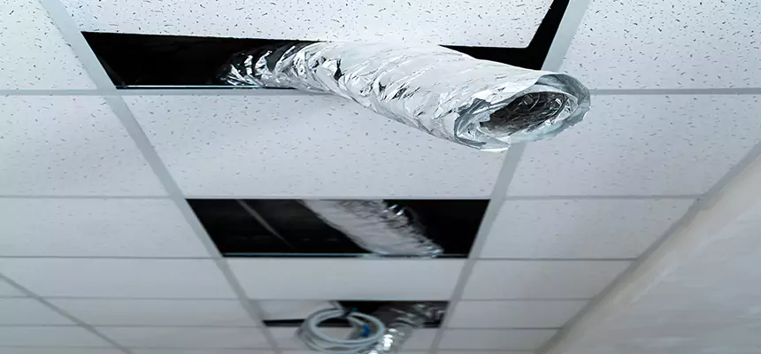 Our Air Duct Pet Hair Removal Services in Ferndale, MI