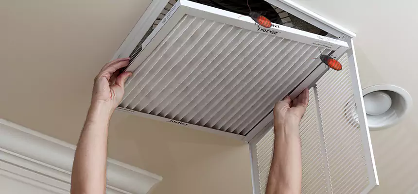 Our Insect Removal from Air Ducts Services in Ferndale, MI