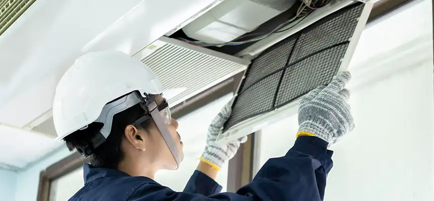 Our Lint Trap Cleaning Service Services in Ferndale, MI