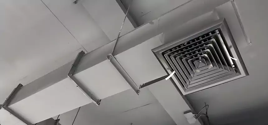 Our Rodent Droppings In Vents Services in Ferndale, MI