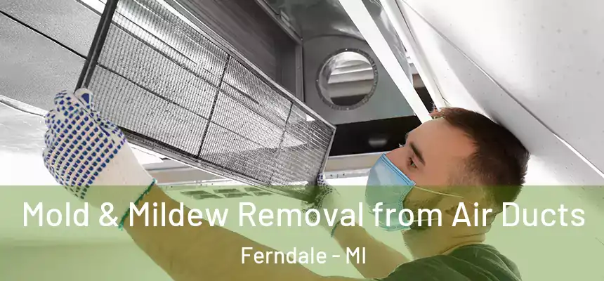  Mold & Mildew Removal from Air Ducts Ferndale - MI