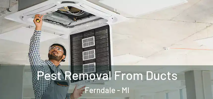  Pest Removal From Ducts Ferndale - MI