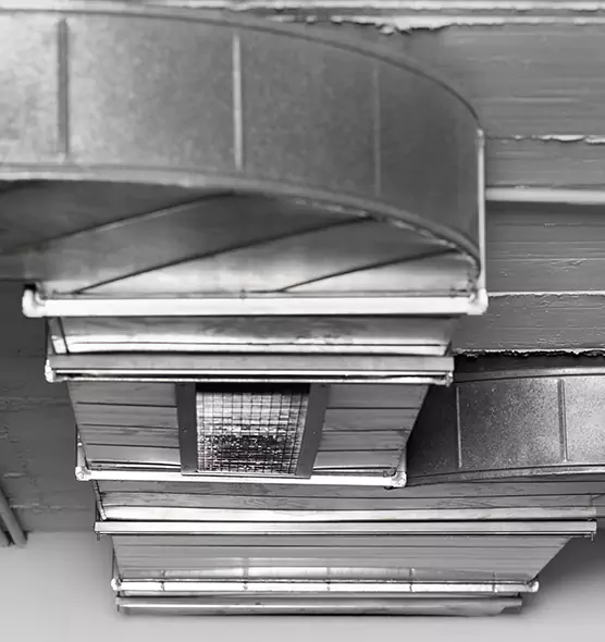 Professional Air Duct Pet Hair Removal in Ferndale, MI