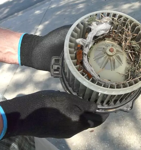 About Air Duct Rat Removal in Ferndale, MI