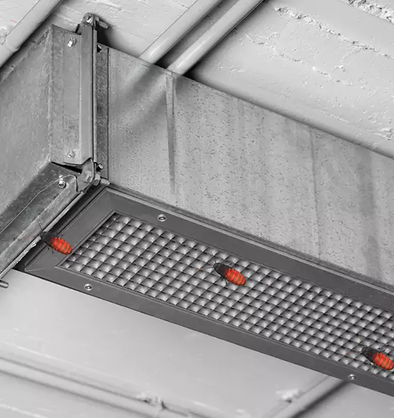 Affordable Insect Removal from Air Ducts in Ferndale, MI