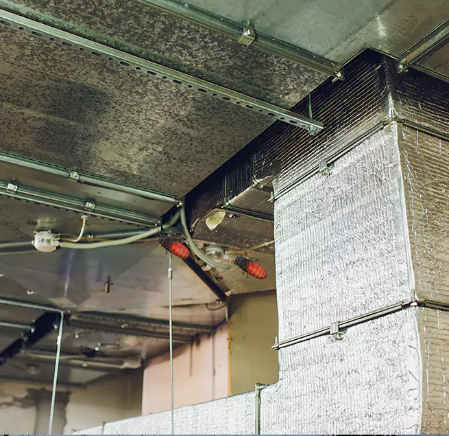 Why Homeowners & Businesses Trust Us in Ferndale, MI?