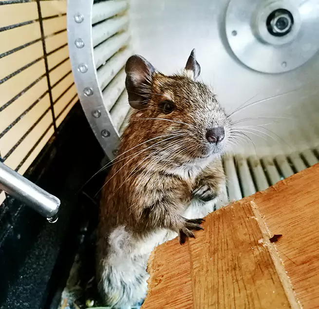 Why Homeowners & Businesses Trust Us Ferndale, MI?