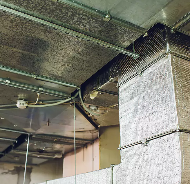 Why Homeowners & Businesses Trust Us in Ferndale, MI?